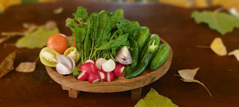 Tərəvəz salatı