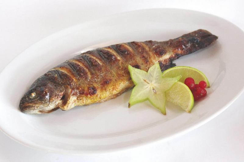 Forel (göl)    