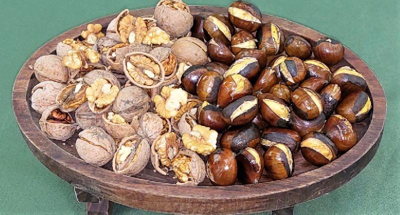 Şabalıd-qoz   