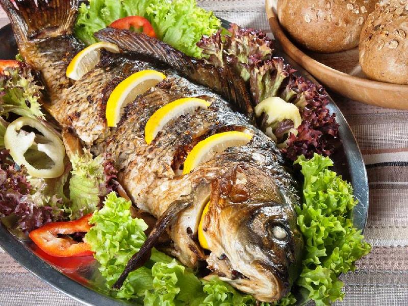 Sazan 120-240qr