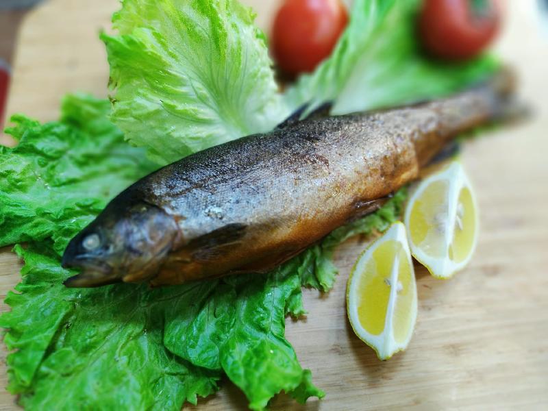 Forel balığı hisə verilmiş 