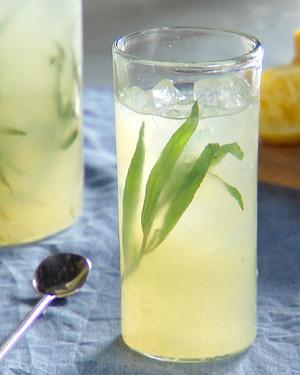Tarragon