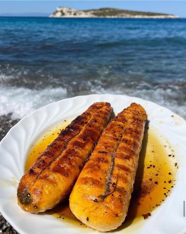 Kefal Balığı