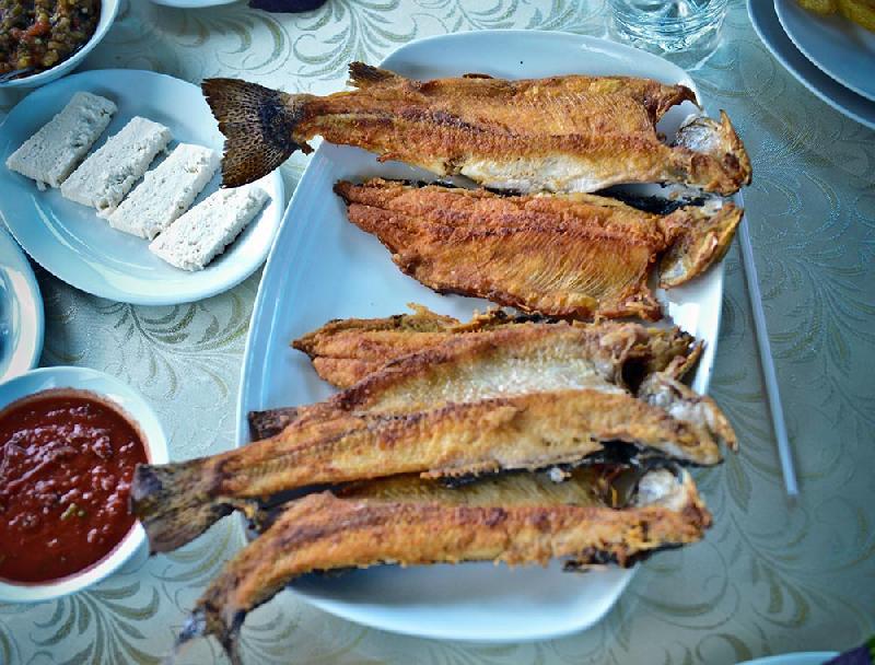 Farel hisə verilmiş