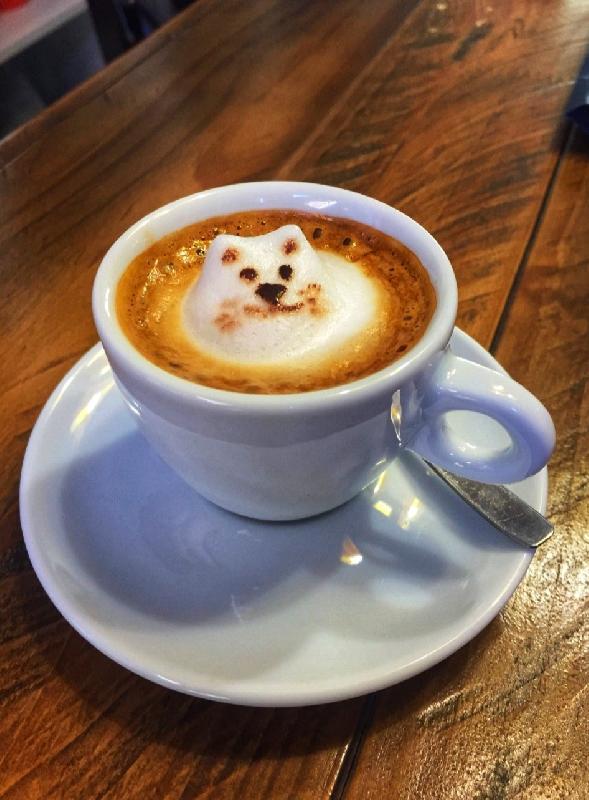 Cappuccino