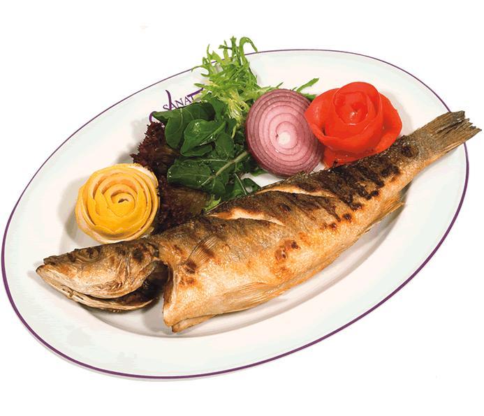 Siyənək balığı 