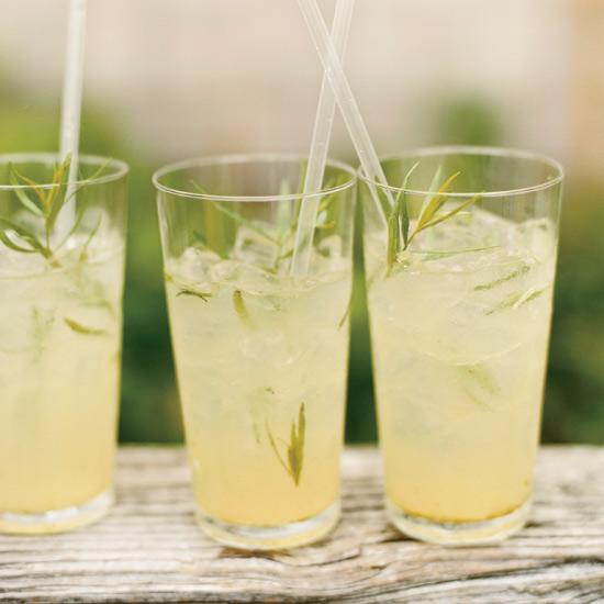 Tarragon 