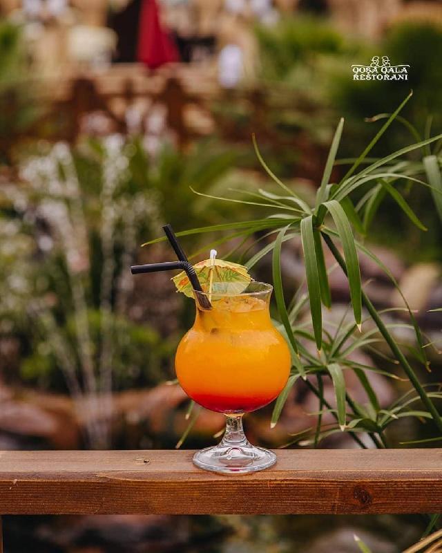 TROPIC-PASSION