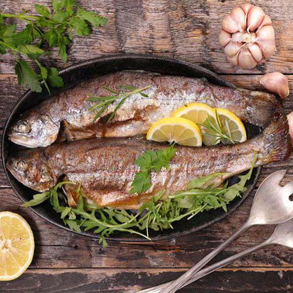 Forel Tavada