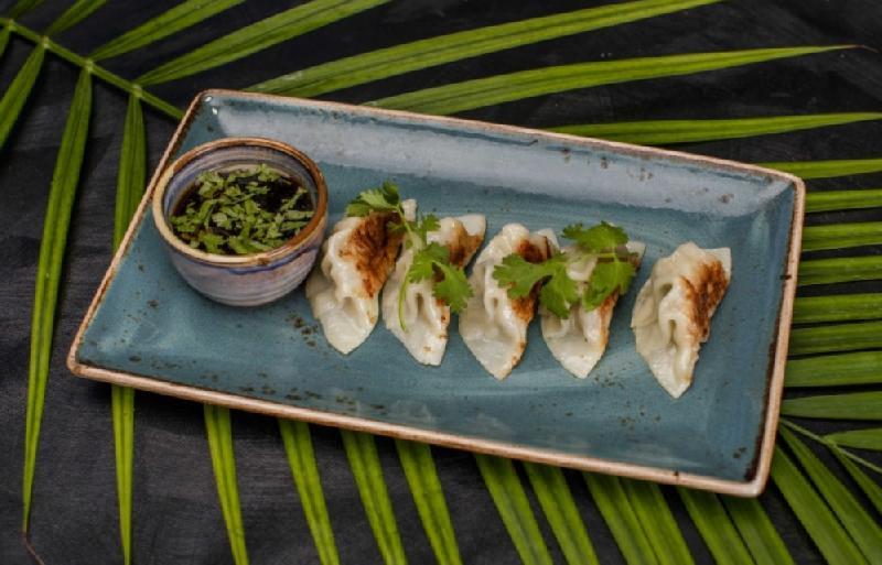 Toyuqlu gyoza
