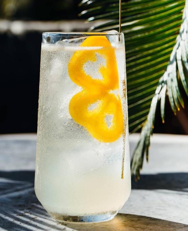 ALOE TONIC