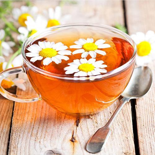 Camomile Organic Tea