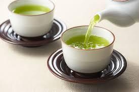 Organic Sencha Green Tea