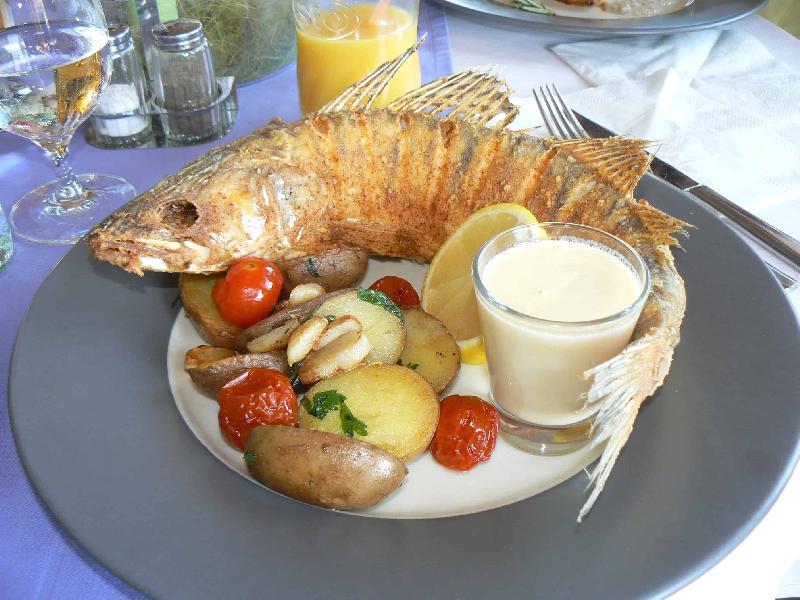 Sudak balığı 