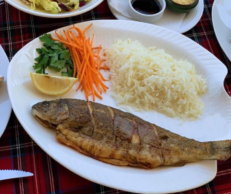 Balıq Slotka