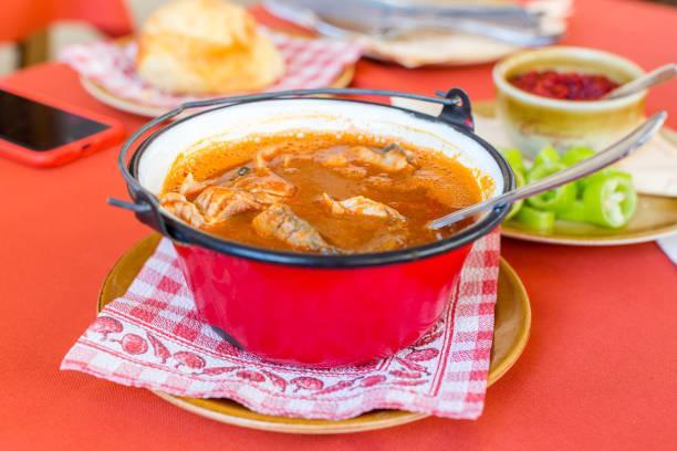 Hungarian Fishsoup, catfish filet, roes, milt