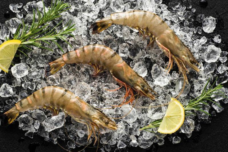 Pələng krevetləri tempura