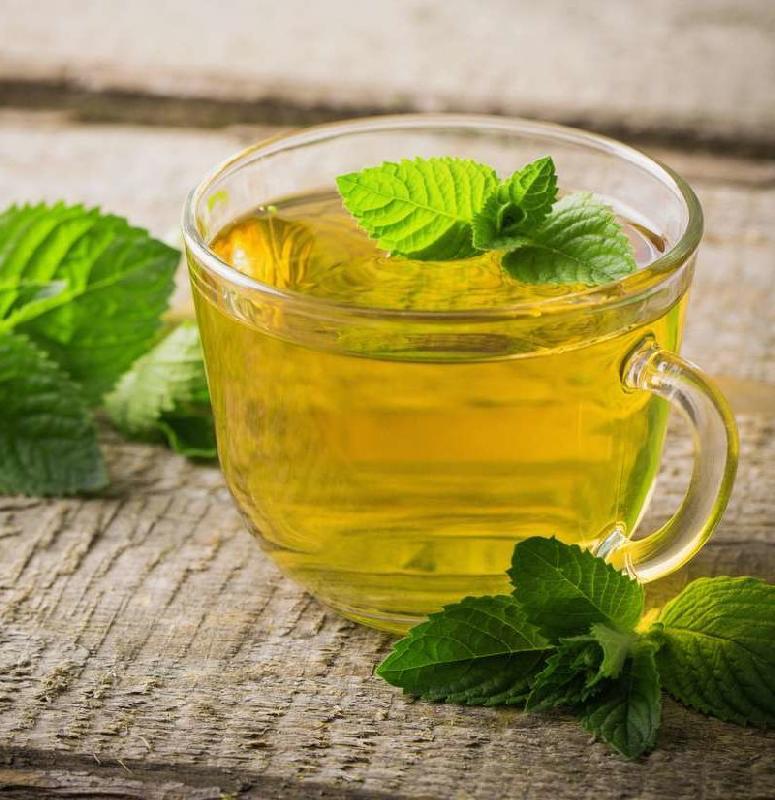 Mint herbal infusion