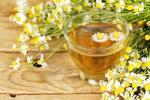Camomile herbal infusion