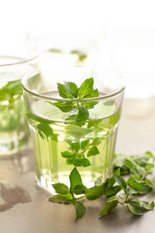 Fresh mint tea