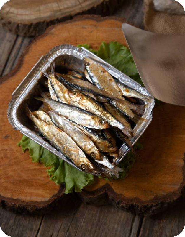 Kilkə kapiçonnu