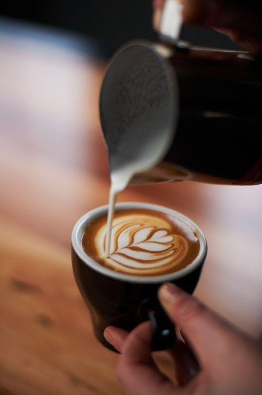 Caffe Latte