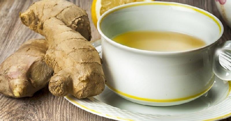 ჯინჯერის