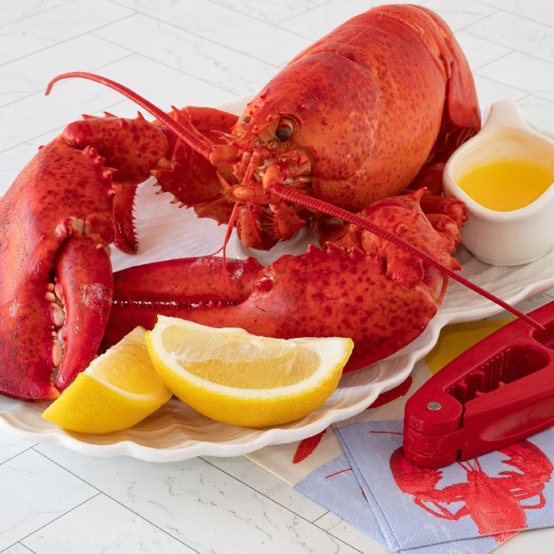 Lobster Kərə yağında