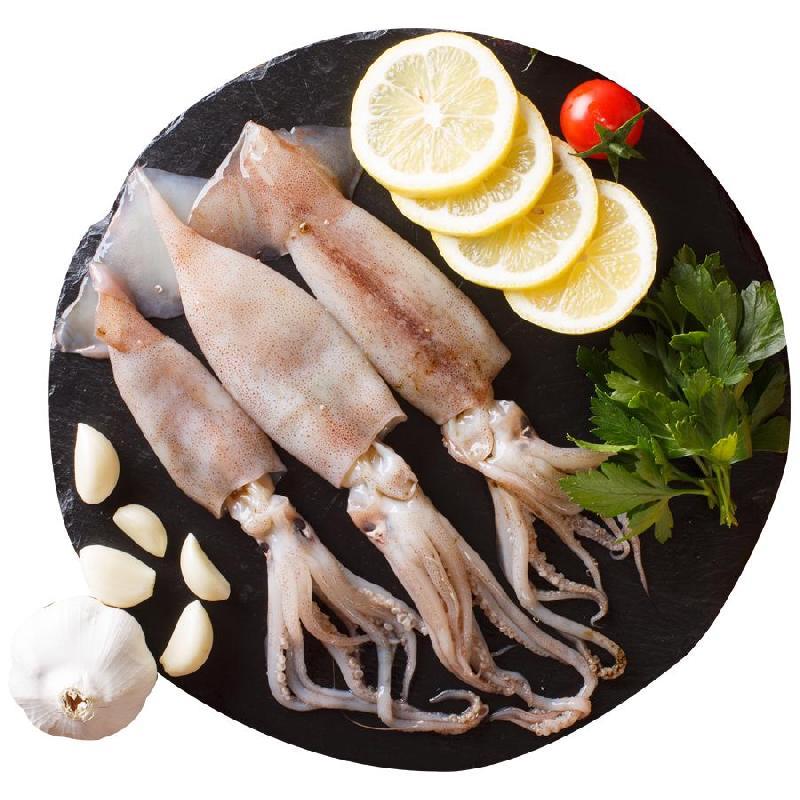 Long Seafood Squid
