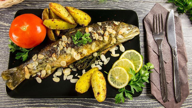 Dorado balığı 