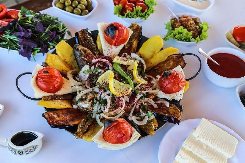 Sac nərə balığı
