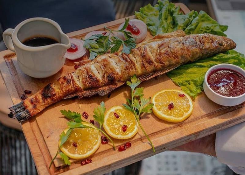 Sudak Balığı