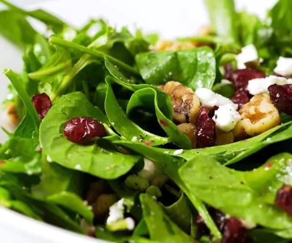 Yaban salatı