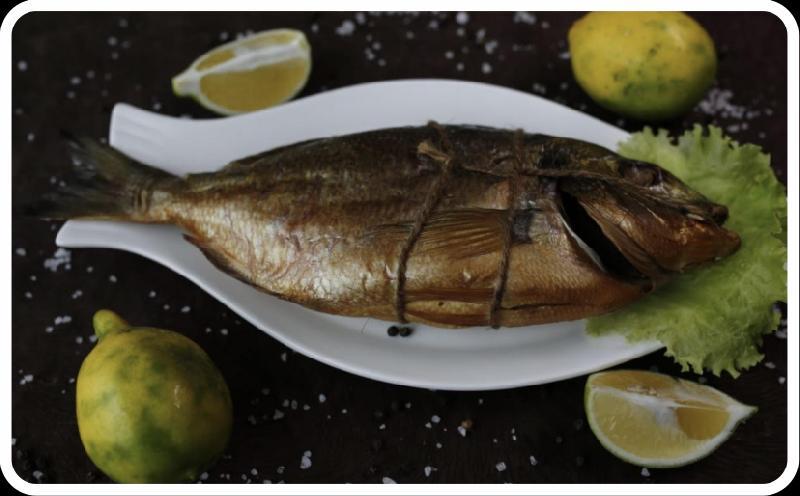Hisə verilmiş dorado balığı