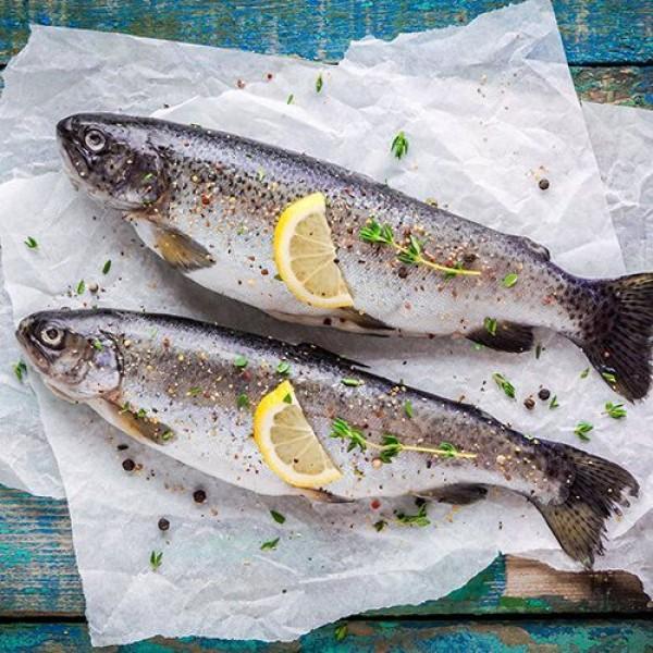 Forel
