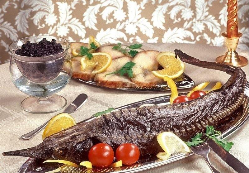 Nərə balığı