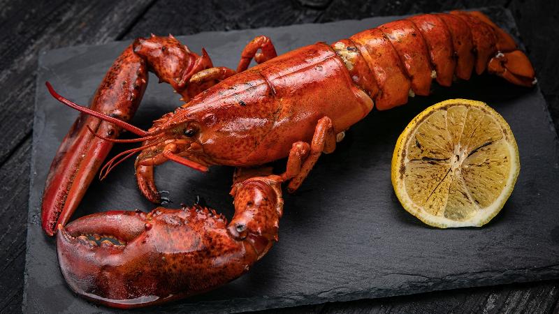 Lobster
