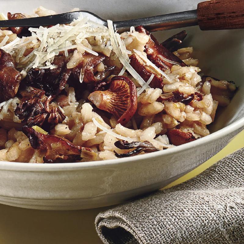 Risotto Wild Mushrooms