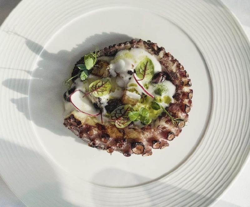 Mediterranean Octopus