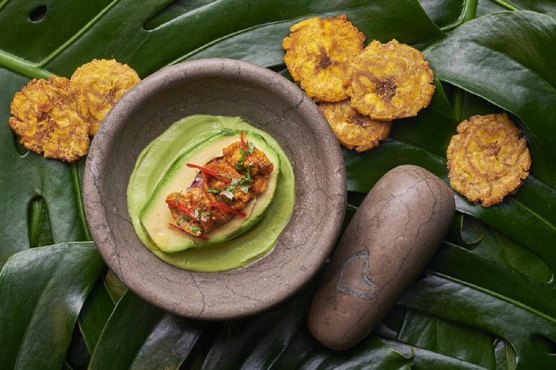 Guacamole con Erizo