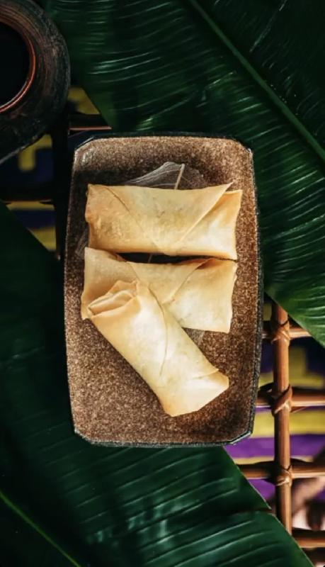 Shredded Duck Spring Rolls