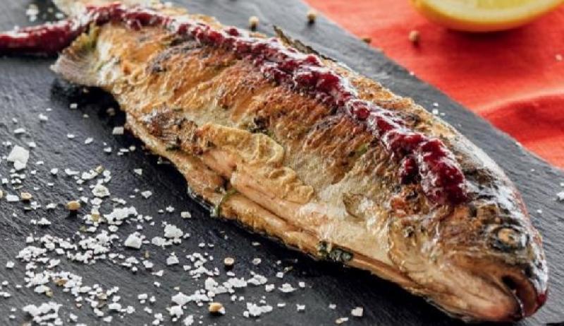 Forel balığı