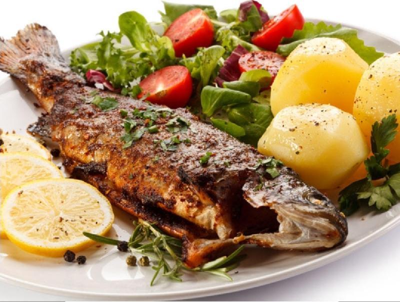 Forel balığı
