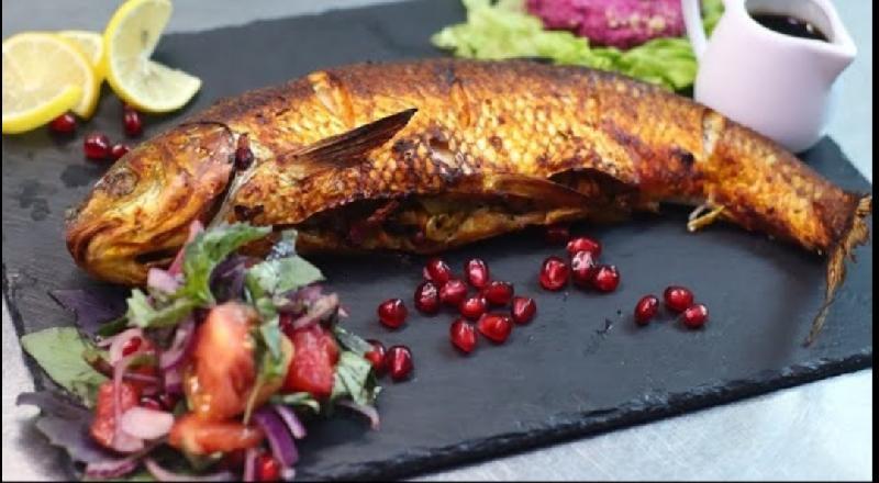 Kütüm balığı