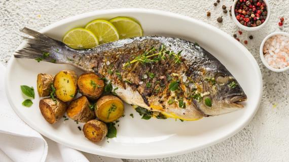 Dorado balığı 