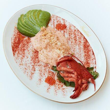 AVOCADO REALE