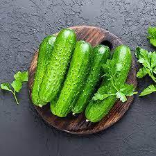Xiyar (efetdi) 