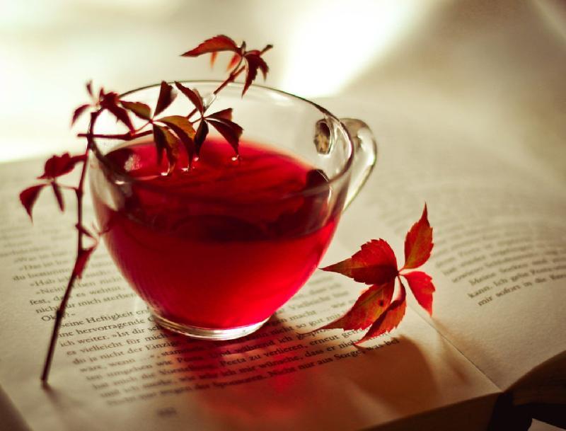 Red Forest Tea 