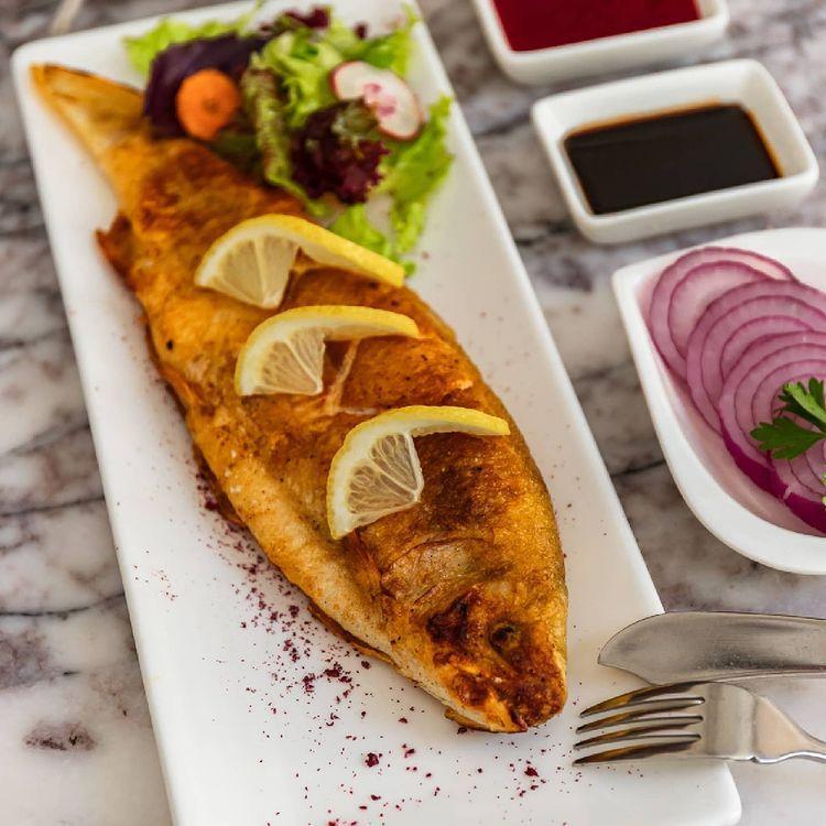 Forel balığı 