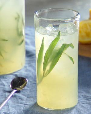 Ev sayağı limonad 